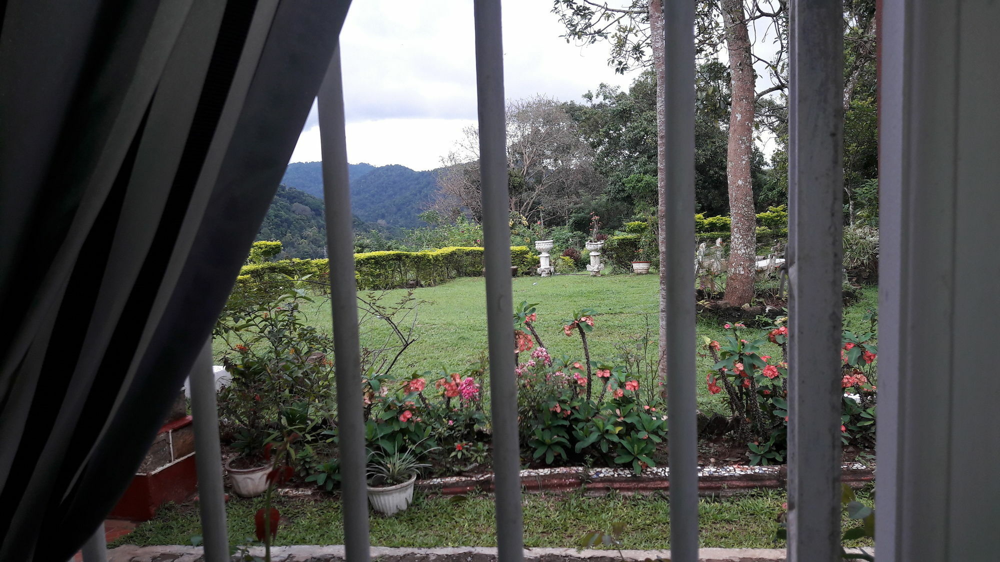 Oyo 441 Kandy Hill Bungalow Εξωτερικό φωτογραφία